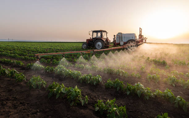 Best Commercial Pest Control Services  in Pageland, SC